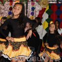 TapJunina_2015_081
